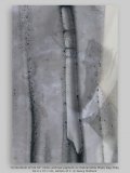 “primordium of ink 02” 2020, archival pigment on Hahnemühle Photo Rag 308g, 56.4 x 37.7 cm, edition of 3  © Georg Mühleck