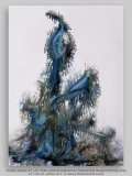 “thrawn (kelpie 45_v2)” 2020, archival pigment on Hahnemühle Museum Etching 350g61 x 80 cm, edition of 3  © Georg Mühleck/Bild-Kunst