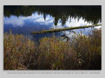 “voices singing across the water (caspecies 9)” 2017, archival pigment on 100% cotton Fine Art paper 162 x 108 cm, edition of 3   © Georg Mühleck