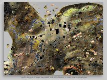 detail 1 (16x12cm) of “staged caspecies 14” (2 groups of seven) 2015, archival pigment on Canson 310g, 77 x 108 cm, edition of 4 © Georg Mühleck