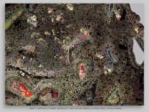 detail 1 (16x12cm) of “staged caspecies 12” (2 groups of seven) 2015, archival pigment on Canson 310g, 77 x 108 cm, edition of 4 © Georg Mühleck
