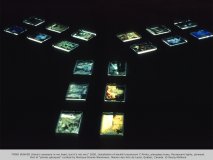 "MIND BUNKER (there's someone in my head, but it's not me)" 2000, Installation of backlit translucent C-Prints, plexiglass trays, flourescent lights, plywood. Part of "photos géniques" curated by Monique Brunet-Weinmann; Maison des Arts de Laval, Québec