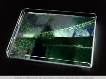 "mind bunker #21 (RNA horizon)_tray" 2000, Translucent C-Print 43,5 x 31,5 cm, plexiglass tray, edition of 3   © Georg Mühleck