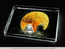 "moon seed tracker_tray" 2000, Translucent C-Print 43,5 x 31,5 cm, plexiglass tray, edition of 3   © Georg Mühleck