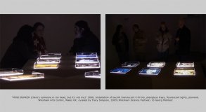 "MIND BUNKER (there's someone in my head, but it's not me)" 2000, Installation of backlit translucent C-Prints, plexiglass trays, flourescent lights, plywood. Wrexham Arts Centre, Wales UK; curated by Tracy Simpson, 2003 (Wrexham Science Festival)  © Geo