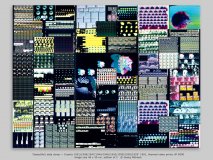 “(beautiful) data dump — 9 parts 1951/1949/1947/1944/1945/1942/1938/1930/1929” 1991, thermal video prints UP 5000 image size 46 x 35 cm, edition of 2   © Georg Mühleck