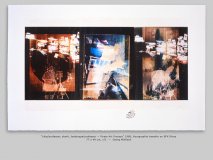 “chip/professor, shark, landscape/professor — Pirate Art Process” 1988, Xerographie transfer on BFK Rives 77 x 49 cm, 1/1  —  Georg Mühleck