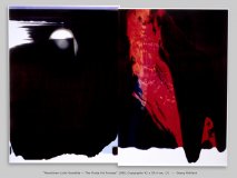“Maschinen-Licht-Gemälde — The Pirate Art Process” 1988, Copigraphy 42 x 59.4 cm, 1/1  —  Georg Mühleck