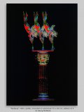 “fanfares” 1992, giclée, mounted on aluminum 57 x 83 cm, edition of 3