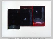 “Black birds on colour” 1986, 87 x 66 cm