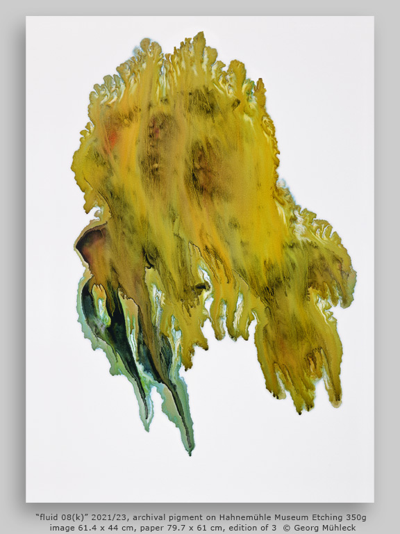 “fluid 08(k)” 2021/23, archival pigment on Hahnemühle Museum Etching 350g, image 61.4 x 44 cm, paper 79.7 x 61 cm, edition of 3 © Georg Mühleck
