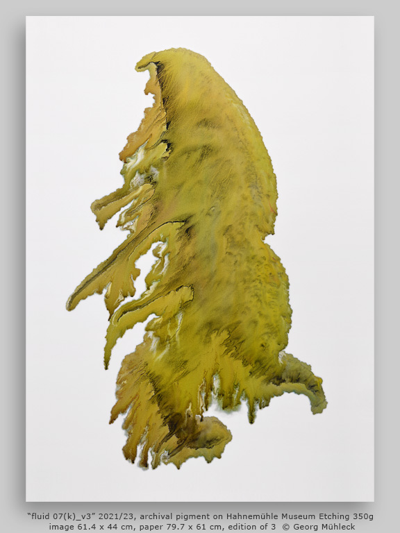 “fluid 07(k)_v3” 2021/23, archival pigment on Hahnemühle Museum Etching 350g, image 61.4 x 44 cm, paper 79.7 x 61 cm, edition of 3 © Georg Mühleck