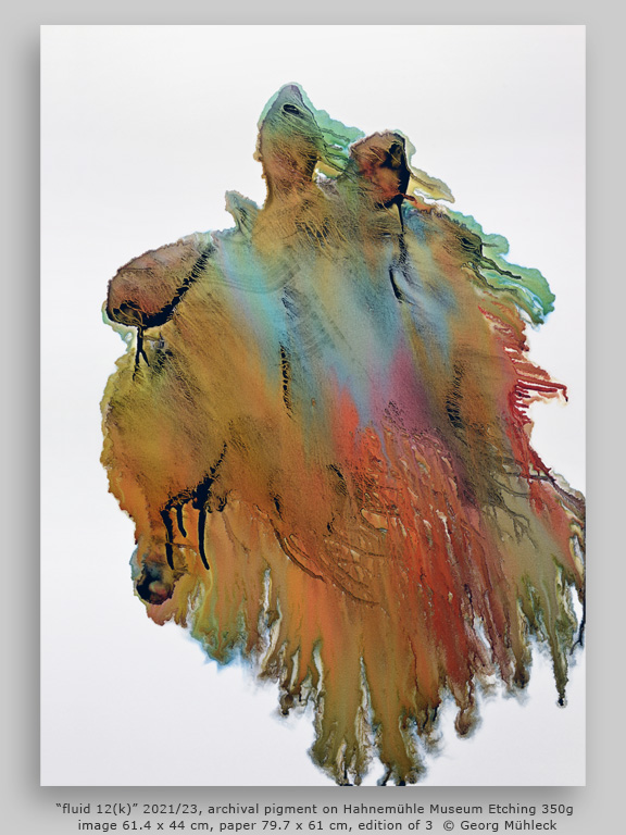 “fluid 12(k)” 2021/23, archival pigment on Hahnemühle Museum Etching 350g, image 61.4 x 44 cm, paper 79.7 x 61 cm, edition of 3 © Georg Mühleck