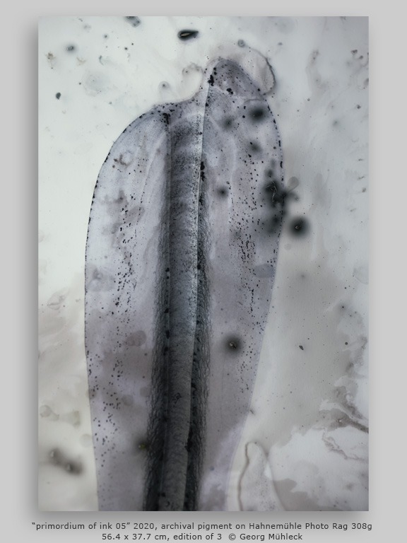 “primordium of ink 05” 2020, archival pigment on Hahnemühle Photo Rag 308g, 56.4 x 37.7 cm, edition of 3 © Georg Mühleck