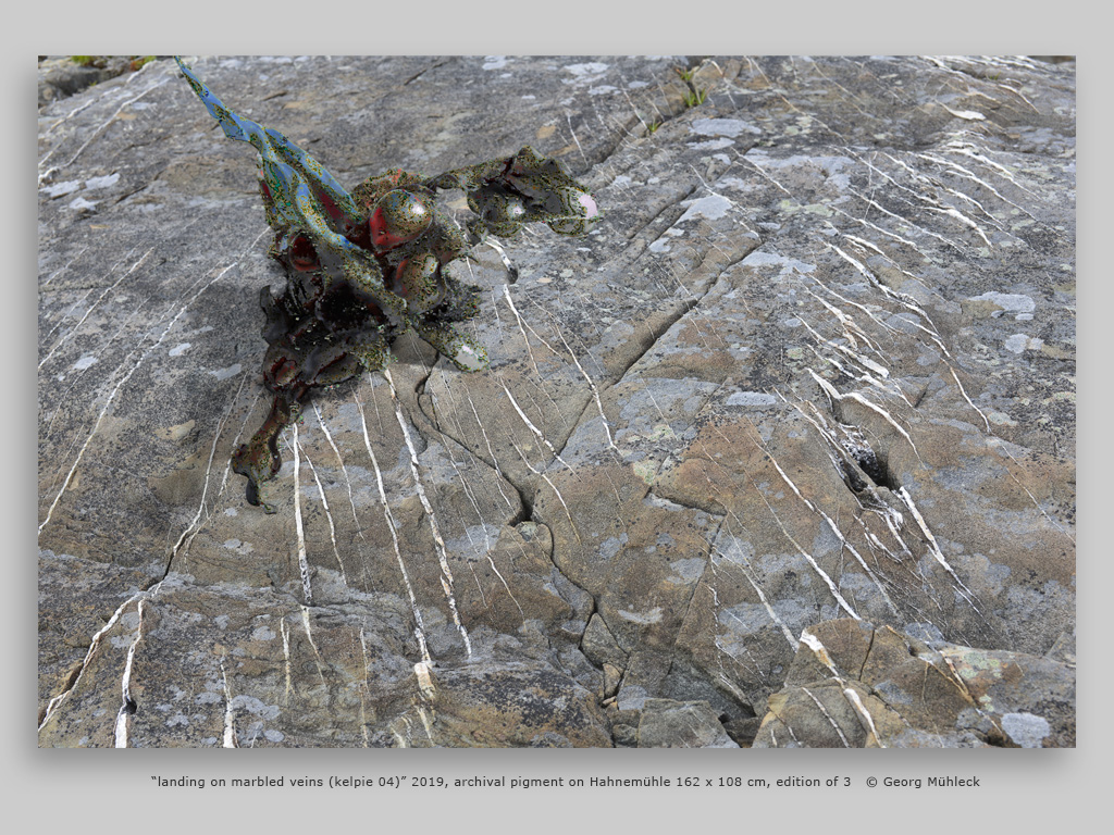 “landing on marbled veins (kelpie 04)” 2019, archival pigment on Hahnemühle 162 x 108 cm, edition of 3   © Georg Mühleck