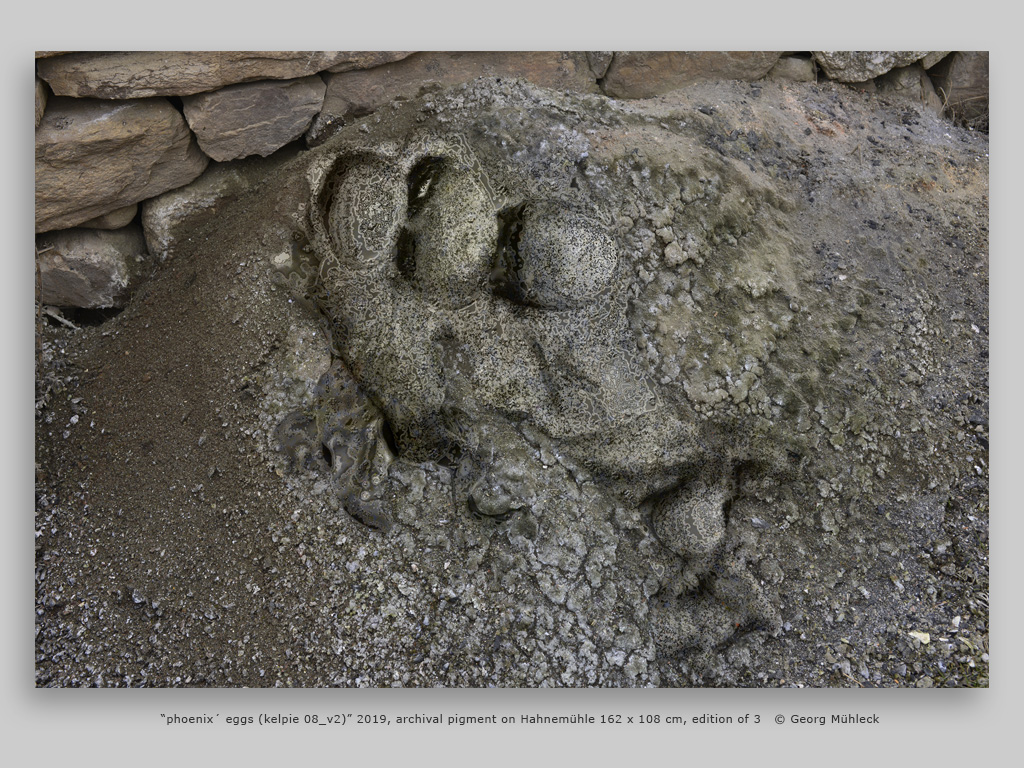 “phoenix´ eggs (kelpie 08_v2)” 2019, archival pigment on Hahnemühle 162 x 108 cm, edition of 3 © Georg Mühleck