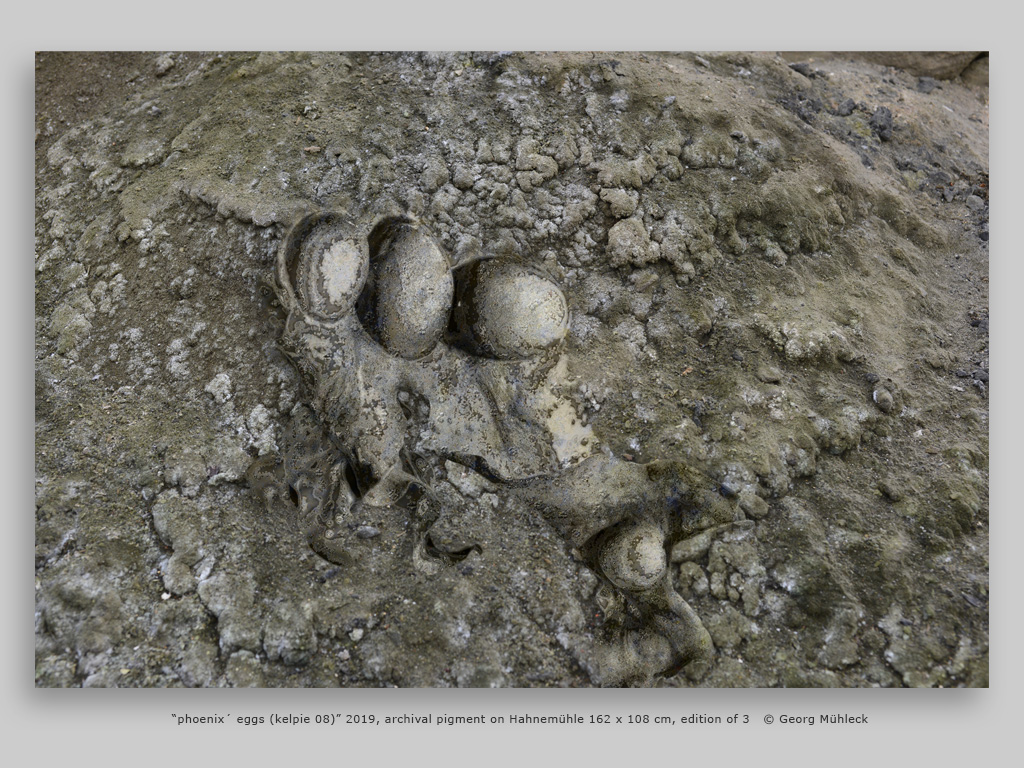 “phoenix´ eggs (kelpie 08)” 2019, archival pigment on Hahnemühle 162 x 108 cm, edition of 3   © Georg Mühleck