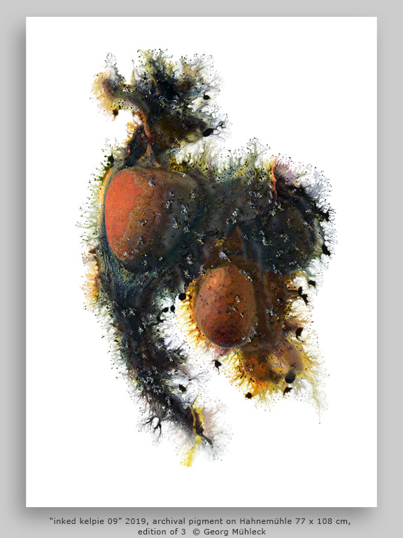 “inked kelpie 09” 2019, archival pigment on Hahnemühle 77 x 108 cm, edition of 3  © Georg Mühleck