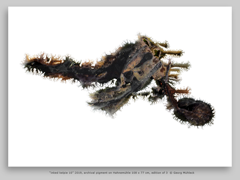 “inked kelpie 10” 2019, archival pigment on Hahnemühle 108 x 77 cm, edition of 3  © Georg Mühleck