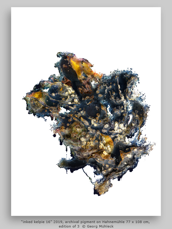 “inked kelpie 16” 2019, archival pigment on Hahnemühle 77 x 108 cm, edition of 3  © Georg Mühleck