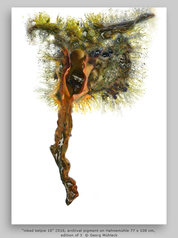 “inked kelpie 18” 2018, archival pigment on Hahnemühle 77 x 108 cm, edition of 3 © Georg Mühleck