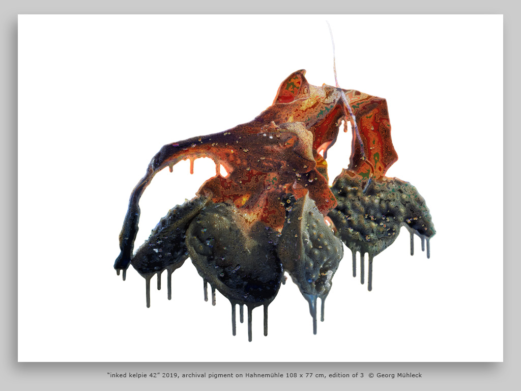 “inked kelpie 42” 2019, archival pigment on Hahnemühle 108 x 77 cm, edition of 3  © Georg Mühleck