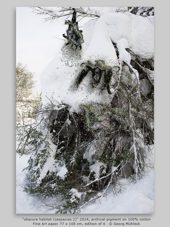 “obscure habitat (caspecies 2)” 2014, archival pigment on 100% cottonFine Art paper 77 x 108 cm, edition of 4 © Georg Mühleck