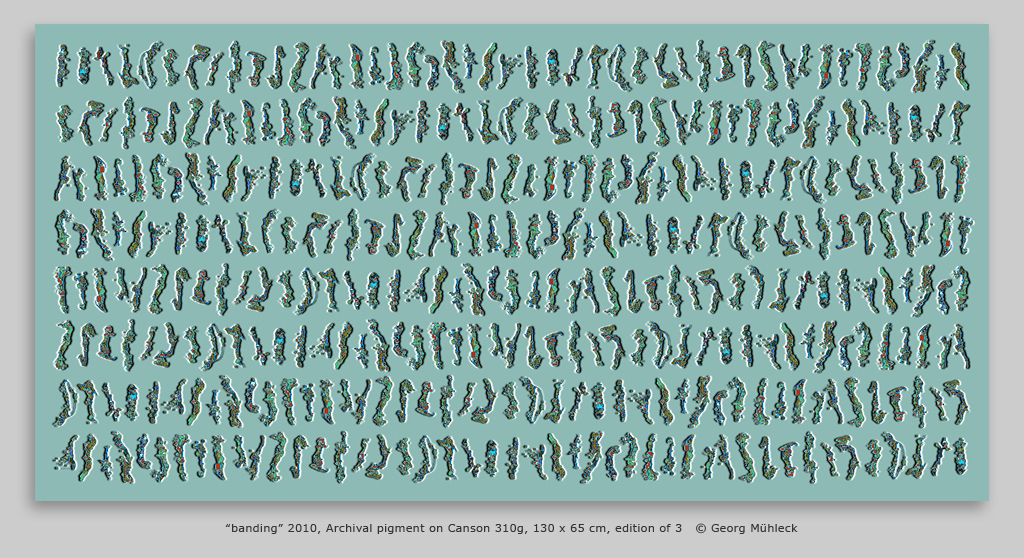 ÒbandingÓ 2010, Archival pigment on Canson 310g, 130 x 65 cm, edition of 3   © Georg Mhleck
