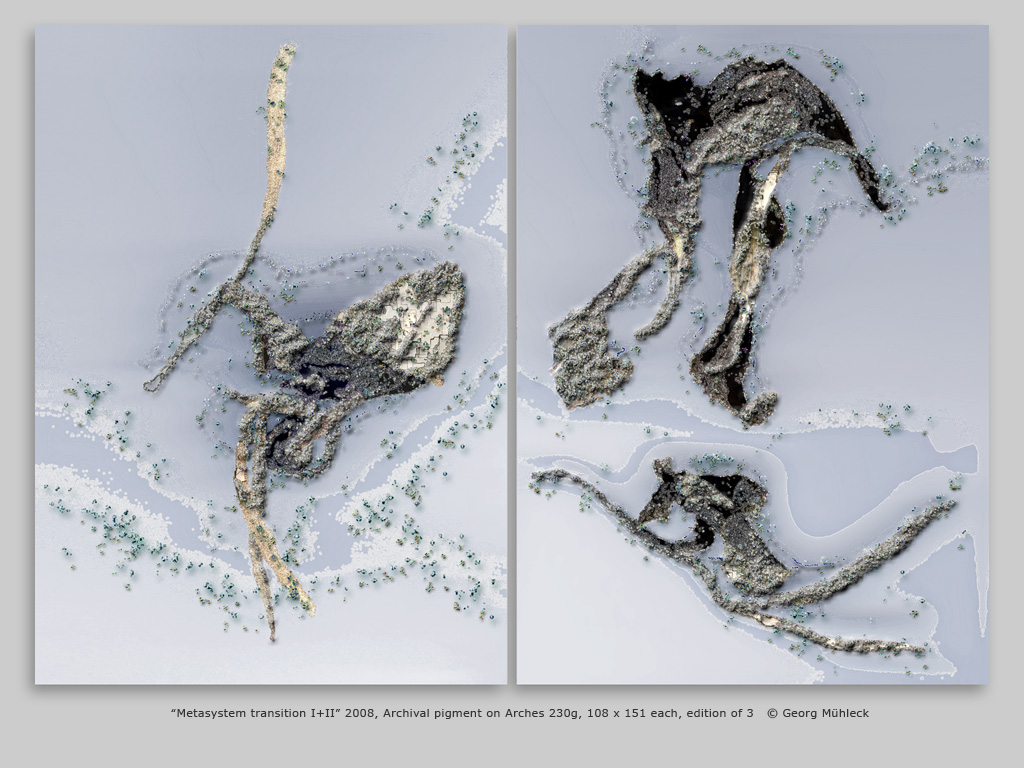 “Metasystem transition I+II” 2008, Archival pigment on Arches 230g, 108 x 151 each, edition of 3   © Georg Mühleck