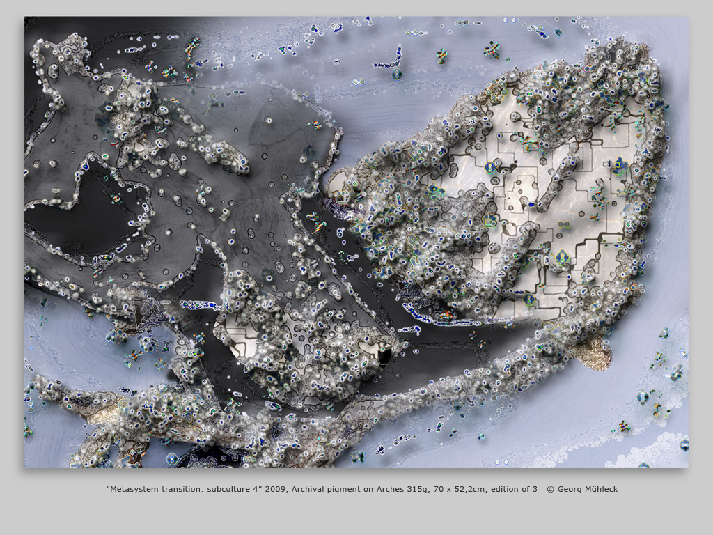 “Metasystem transition: subculture 4” 2009, Archival pigment on Arches 315g, 70 x 52,2cm, edition of 3   © Georg Mühleck