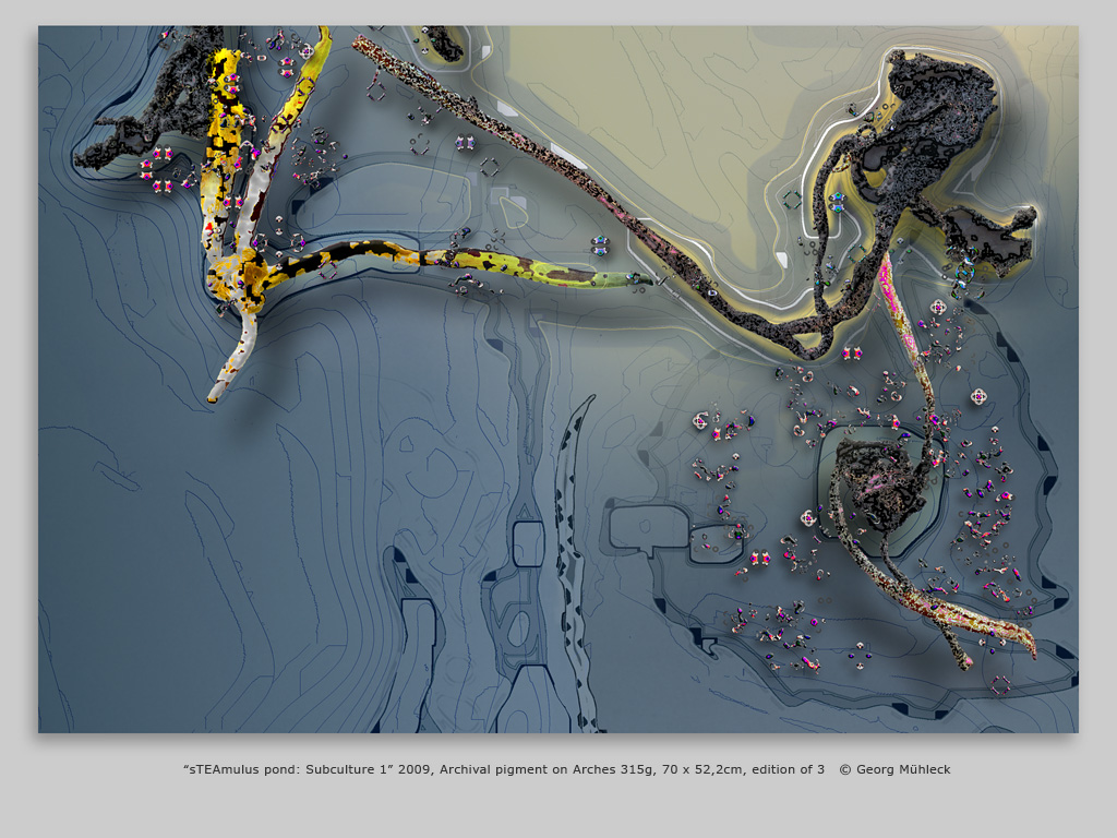 “sTEAmulus pond: Subculture 1” 2009, Archival pigment on Arches 315g, 70 x 52,2cm, edition of 3   © Georg Mühleck