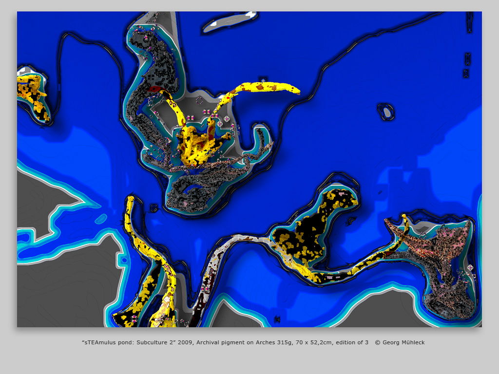 “sTEAmulus pond: Subculture 2” 2009, Archival pigment on Arches 315g, 70 x 52,2cm, edition of 3   © Georg Mühleck