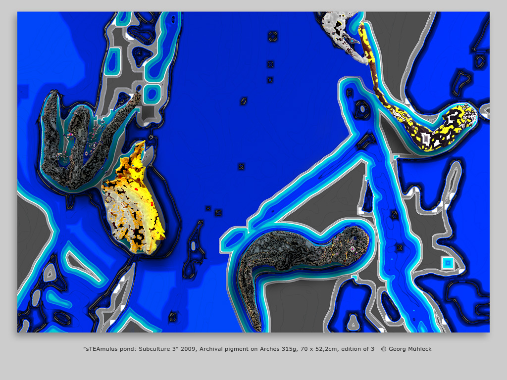 “sTEAmulus pond: Subculture 3” 2009, Archival pigment on Arches 315g, 70 x 52,2cm, edition of 3   © Georg Mühleck