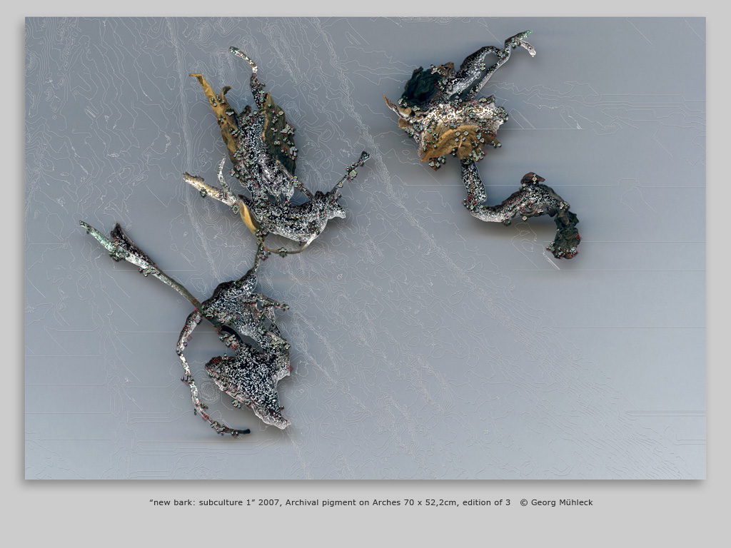 “new bark: subculture 1” 2007, Archival pigment on Arches 70 x 52,2cm, edition of 3   © Georg Mühleck