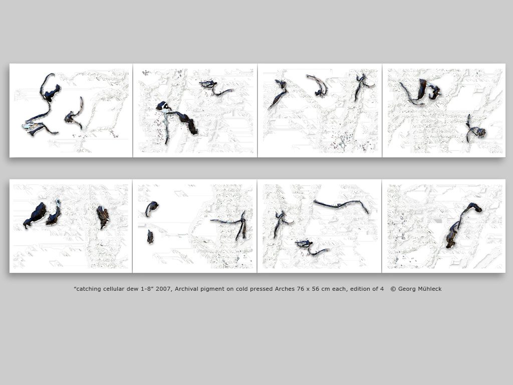 “catching cellular dew 1-8” 2007, Archival pigment on cold pressed Arches 76 x 56 cm each, edition of 4   © Georg Mühleck