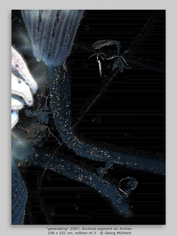 "generating" 2007, Archival pigment on Arches  108 x 151 cm, edition of 3   © Georg Mühleck
