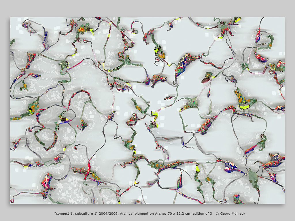 "connect 1: subculture 1" 2004/2009, Archival pigment on Arches 70 x 52,2 cm, edition of 3   © Georg Mühleck