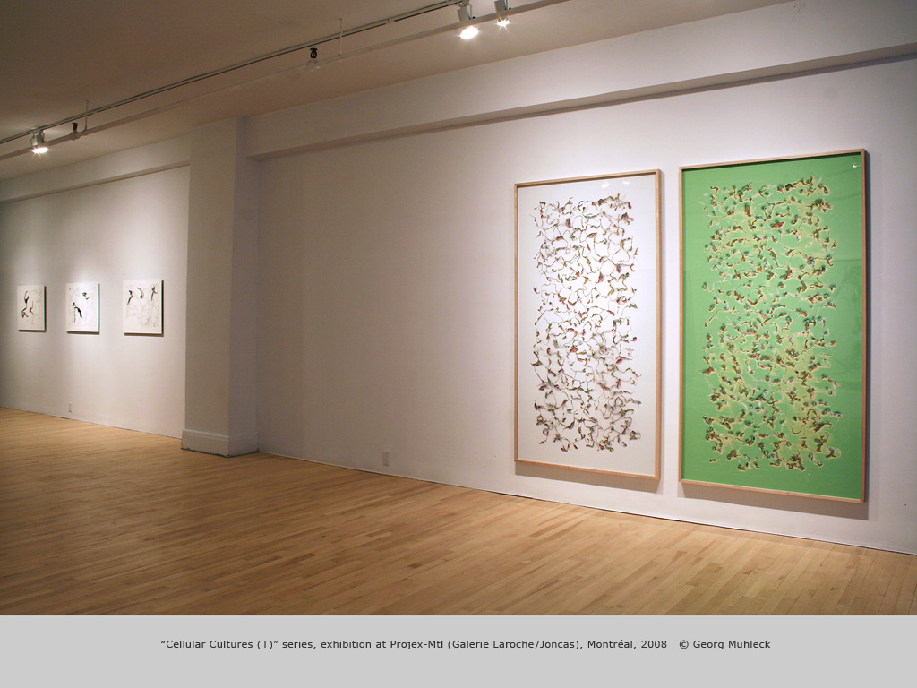 “Cellular Cultures (T)” series, exhibition at Projex-Mtl (Galerie Laroche/Joncas), Montréal, 2008   © Georg Mühleck