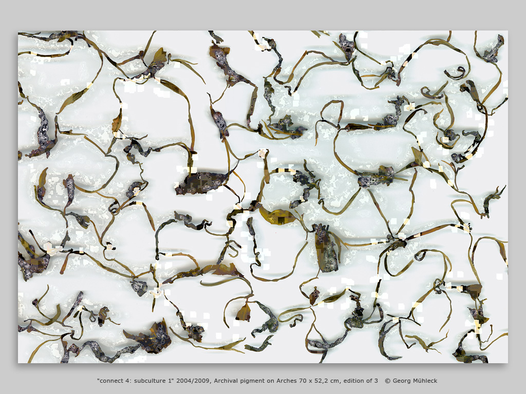 "connect 4: subculture 1" 2004/2009, Archival pigment on Arches 70 x 52,2 cm, edition of 3   © Georg Mühleck