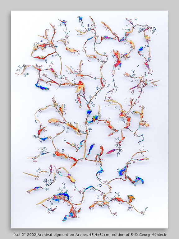 "sei 2" 2002,Archival pigment on Arches 45,4x61cm, edition of 5 © Georg Mühleck