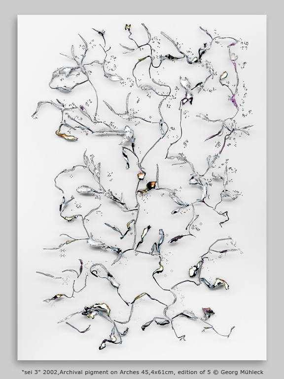 "sei 3" 2002,Archival pigment on Arches 45,4x61cm, edition of 5 © Georg Mühleck