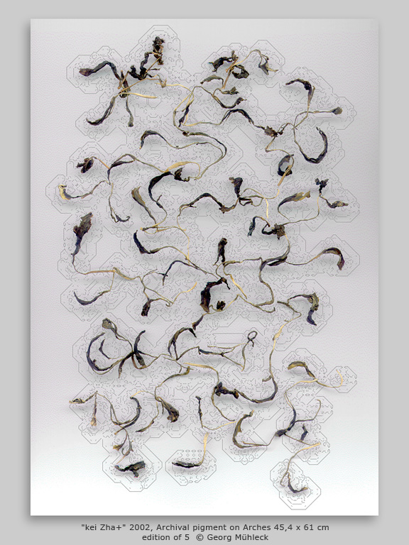 "kei Zha+" 2002, Archival pigment on Arches 45,4 x 61 cm edition of 5  © Georg Mühleck