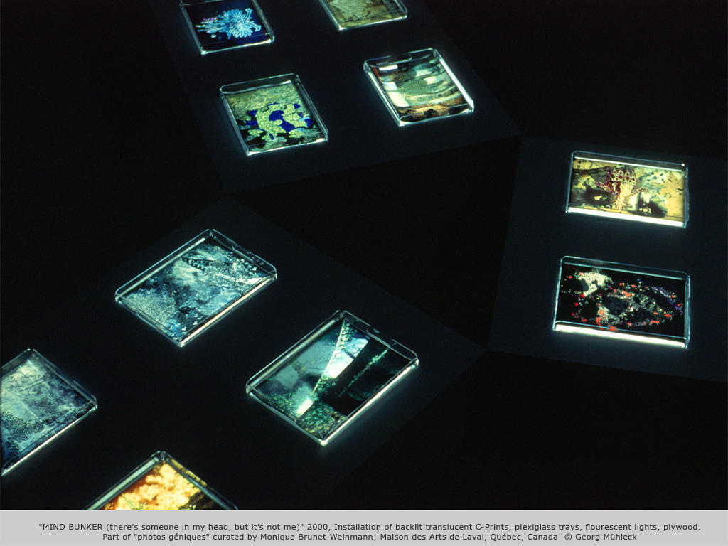 "MIND BUNKER (there's someone in my head, but it's not me)" 2000, Installation of backlit translucent C-Prints, plexiglass trays, flourescent lights, plywood. Part of "photos géniques" curated by Monique Brunet-Weinmann; Maison des Arts de Laval, Québec