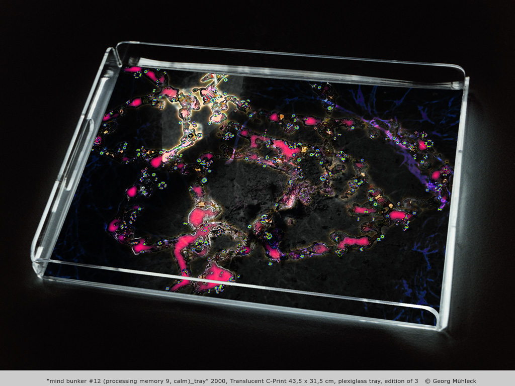 "mind bunker #12 (processing memory 9, calm)_tray" 2000, Translucent C-Print 43,5 x 31,5 cm, plexiglass tray, edition of 3   © Georg Mühleck