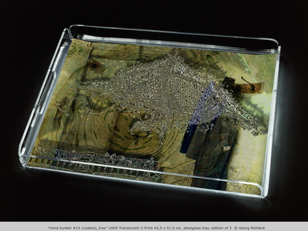“mind bunker #13 (coated)_tray” 2000 Translucent C-Print 43,5 x 31,5 cm, plexiglass tray, edition of 3  © Georg Mühleck