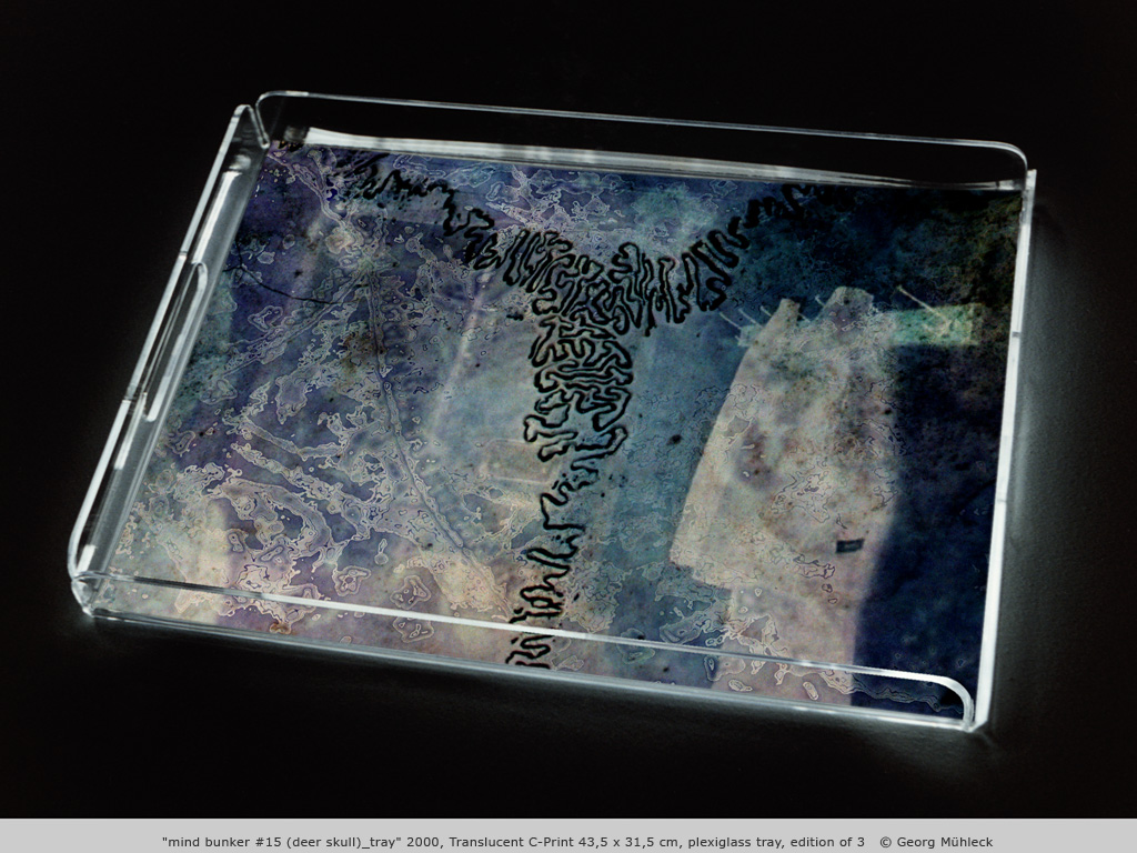 "mind bunker #15 (deer skull)_tray" 2000, Translucent C-Print 43,5 x 31,5 cm, plexiglass tray, edition of 3   © Georg Mühleck