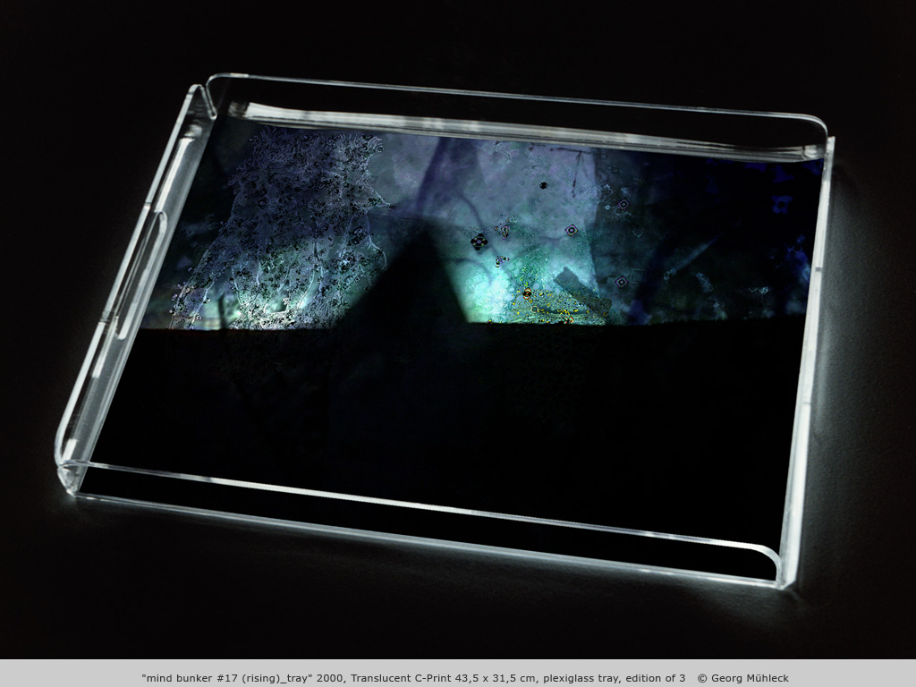 "mind bunker #17 (rising)_tray" 2000, Translucent C-Print 43,5 x 31,5 cm, plexiglass tray, edition of 3   © Georg Mühleck