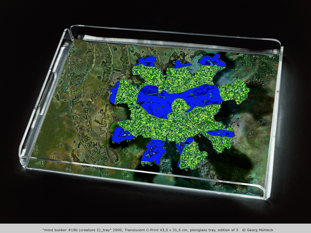 "mind bunker #18b (creature 2)_tray" 2000, Translucent C-Print 43,5 x 31,5 cm, plexiglass tray, edition of 3   © Georg Mühleck