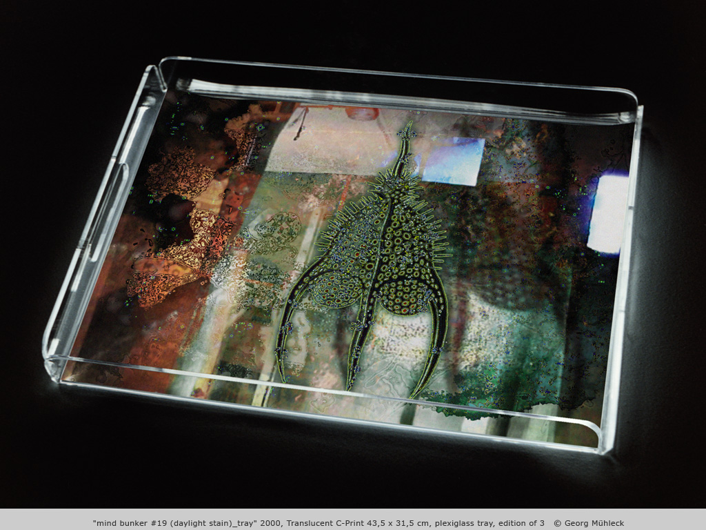 "mind bunker #19 (daylight stain)_tray" 2000, Translucent C-Print 43,5 x 31,5 cm, plexiglass tray, edition of 3   © Georg Mühleck