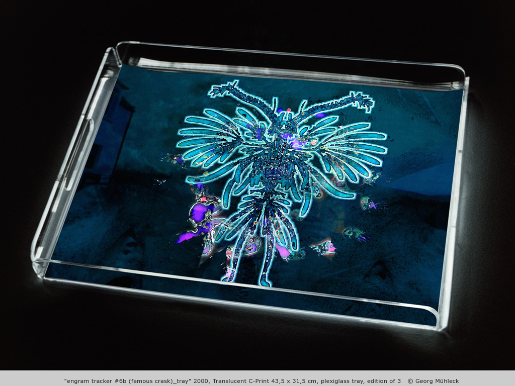 "engram tracker #6b (famous crask)_tray" 2000, Translucent C-Print 43,5 x 31,5 cm, plexiglass tray, edition of 3   © Georg Mühleck